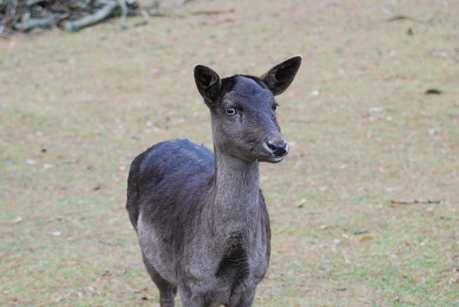 DSC_3585.jpg