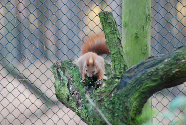 DSC_3596.jpg