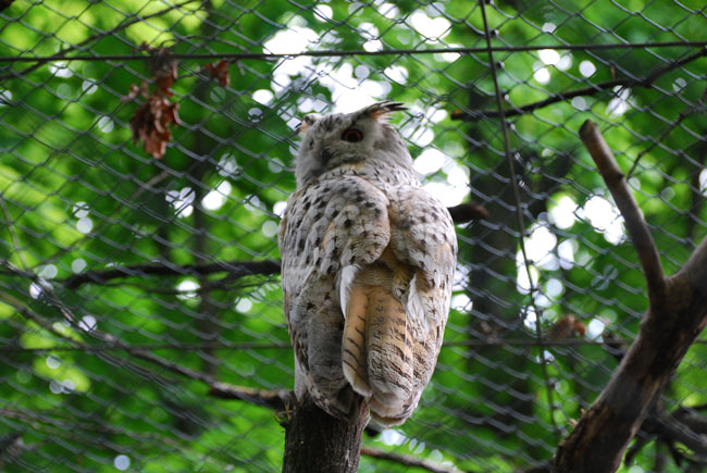 DSC_3856.JPG
