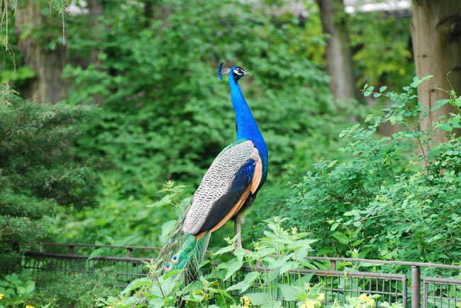DSC_3860.JPG