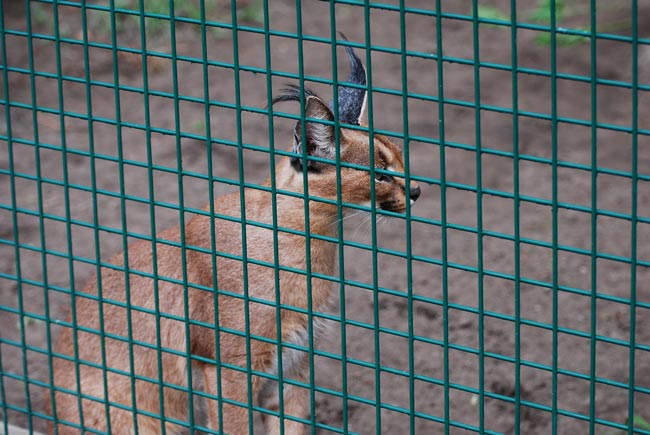 DSC_3882.JPG
