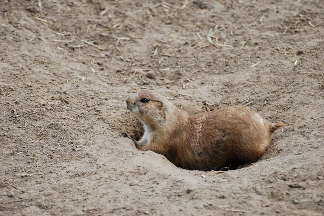 DSC_3884.JPG