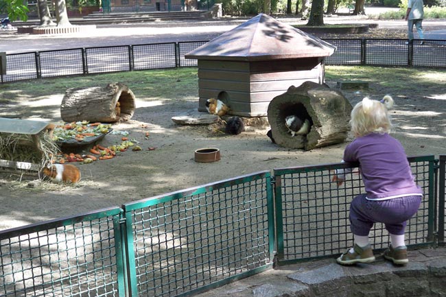 100_0672.jpg